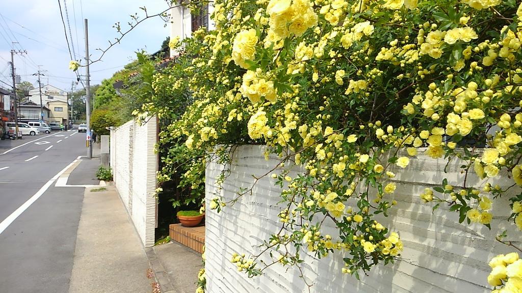 Le Blanc Otel Kyoto Dış mekan fotoğraf