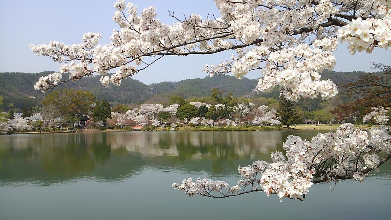 Le Blanc Otel Kyoto Dış mekan fotoğraf