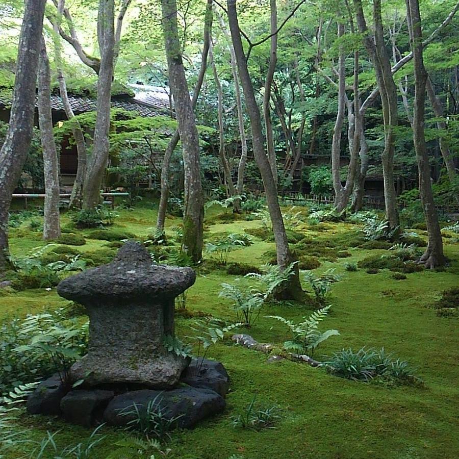 Le Blanc Otel Kyoto Dış mekan fotoğraf