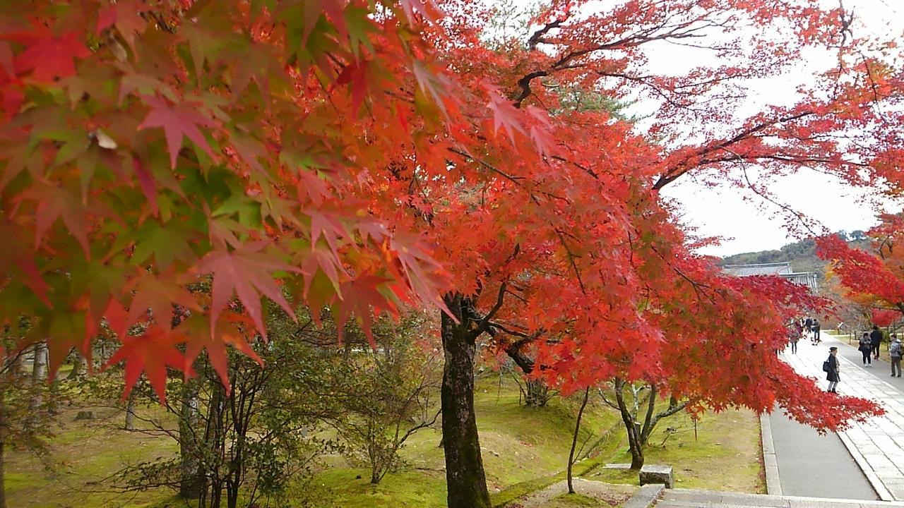 Le Blanc Otel Kyoto Dış mekan fotoğraf